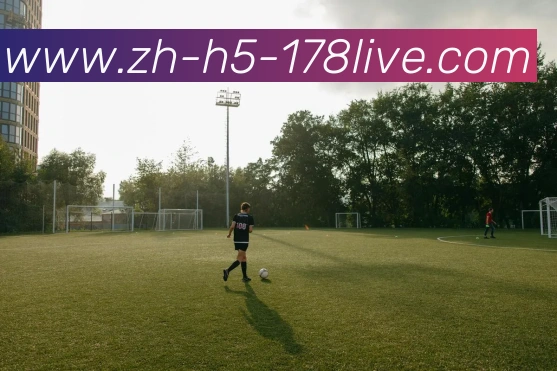 多媒体互动体验